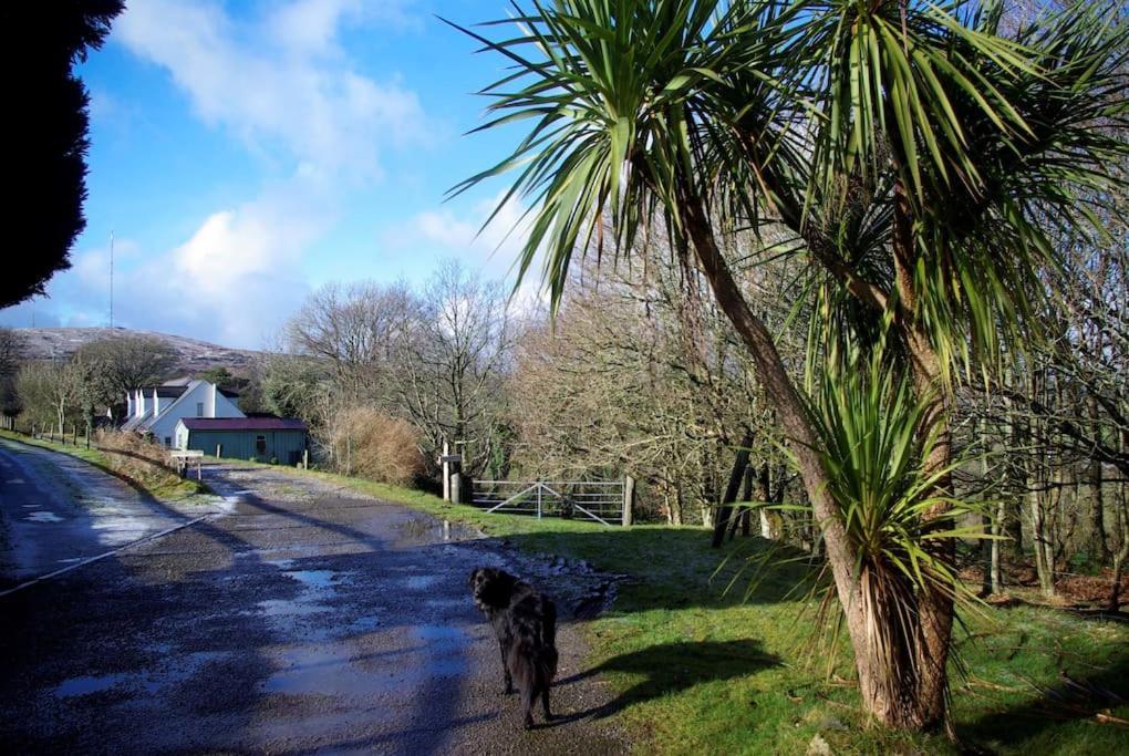Villa Cargibbitt Annexe Liskeard Esterno foto