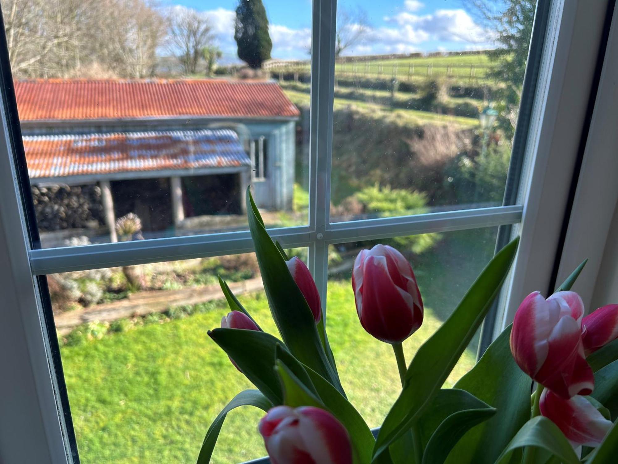 Villa Cargibbitt Annexe Liskeard Esterno foto